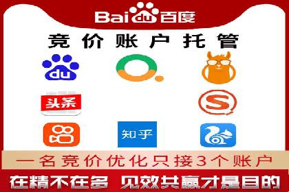 揭秘百度包年竞价优势：成功案例深度解析